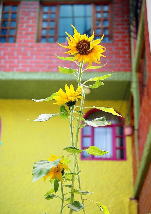 Hostal Inti Raymi Backpackers Banos  Exterior photo